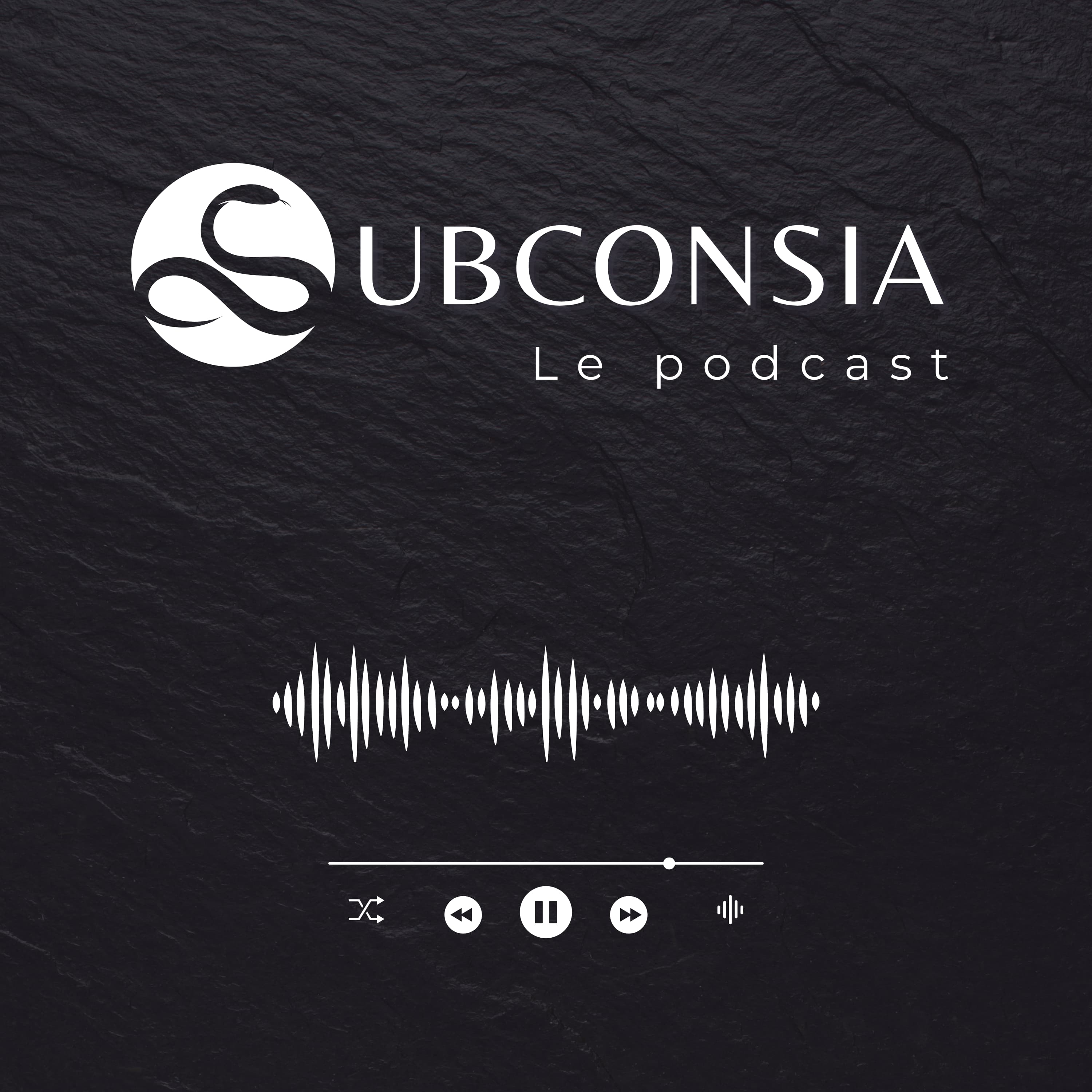 Cover du podcast Subconsia